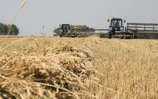 Минсельхоз Азербайджана недоволен проектом госбюджета