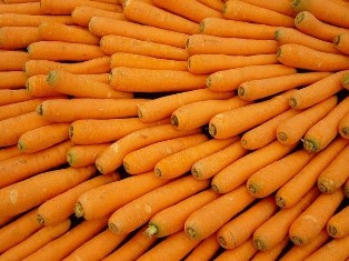 Любители моркови живут дольше: ученые