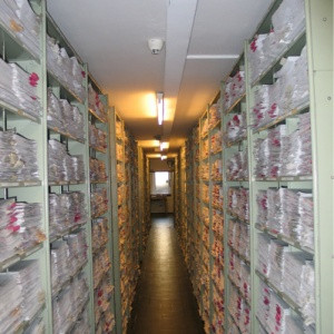 Armenian, Georgian National Archives develop cooperation