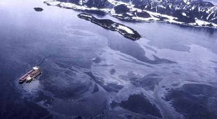 WikiLeaks: Azerbaijan, oil spill worse than Gulf of Mexico