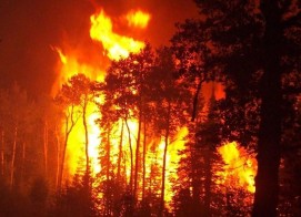 Крупный пожар в Дилижане: горят леса близ церкви