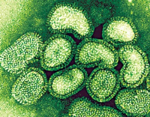 Two Georgian children diagnosed with H1N1 virus