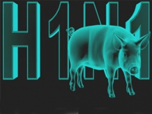 Swine flu is gaining momentum in Akhalkalaki