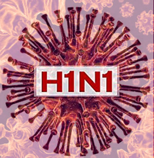 Վրաստանում տարվա սկզբից H1N1 վարակով վարակվել են 303 մարդ, 13 մարդ մահացել է