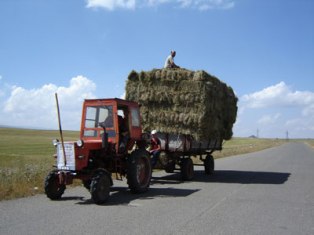 «Երկիր». Ի՞նչ պետք է անի կաթողիկոսի ներկայացուցիչը հանդերում ու արտերում