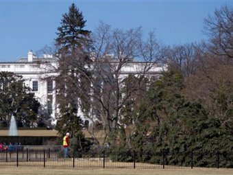 Сильный ветер сломал главную рождественскую елку США