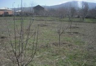Սիլիկյան, Չարբախ թաղամասերի բնակիչներին է հանձնվել նրանց հողօգտագործման իրավունք