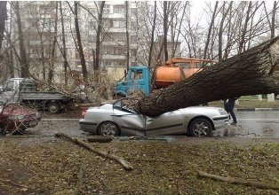В Грузии ураган срывает крыши и валит деревья