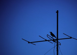 Karabakh television to broadcast to Diaspora