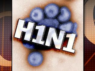 Toll of swine flu deaths reaches 32 in Georgia