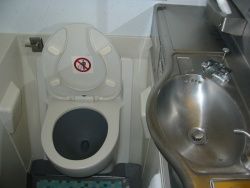 Thief managed to steal $238,000 climbing through aircraft lavatory