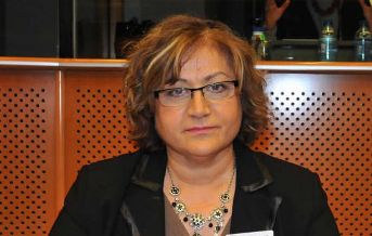 French Senate unlikely to adopt bill criminalizing denial of Armenian Genocide-n