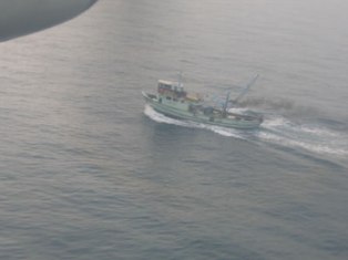 Украинский самолет обнаружил турецких браконьеров