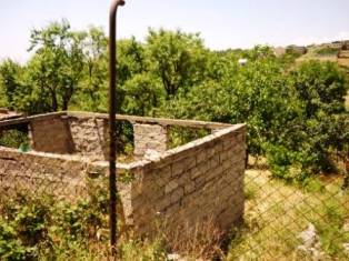 Խարբերդի ամառանոցներից մեկում անձը չպարզված մարդու դիակ են գտել