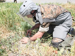 Armenia discusses humanitarian demining issues