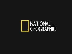 National Geographic продал с аукциона архивных материалов на $3,8 млн