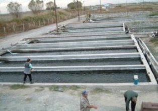 Հայաստանում 2013-ին նախատեսվում է 10%-ով ավելացնել լճակային ձկնաբուծությունը