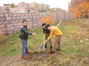 «Armenia Tree Project»-ն այս աշնանը 28 հազարից ավելի ծառ է տնկել