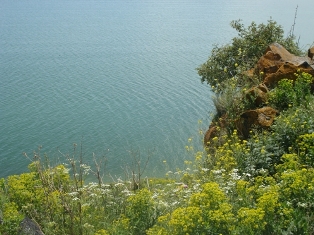 Տեղի ունեցավ «Սեւան ազգային պարկ» ՊՈԱԿ-ի խորհրդի նիստը