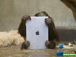 Օրանգուտանը iPad-ով իր ցեղակիցներին է լսում