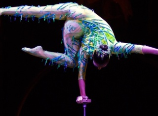 Cirque du Soleil-ի ակրոբատուհին ընկել է շոուի ժամանակ եւ մահացել