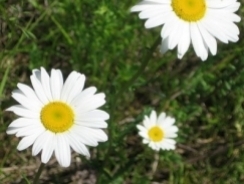 Եղանակը Հայաստանում