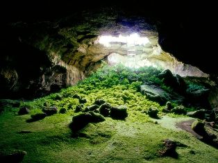 Փետրվարի 8-ից տնից դուրս եկած եւ ջրաշենցիներից ահաբեկած «հրեշը» դեռ չի հայտնաբեր