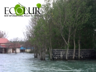 Բնապահպանության նախարարությունը թաքցնո՞ւմ է անտառներից Սեւանա լճի ափերի մաքրման