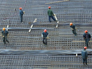 Մոտ 300 ներգաղթյալներ ձերբակալվել են Օդինցովոյում