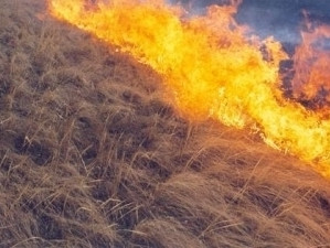 Հրդեհներ խոտածածկ տարածքներում