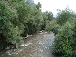 Աղստեւ գետից էլեկտրական սարքերով ձուկ էին որսացել