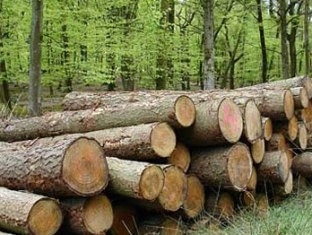 Թեղուտի պղնձամոլիբդենային հանքավայրի շահագործման արդյունքում կոչնչացվի մոտ 2070