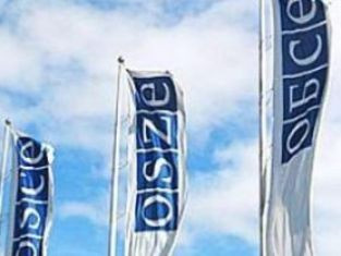 Young Armenians get first-hand experience of OSCE decision-making process