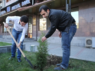 Նոյեմբերին Երեւանում 20 հազար ծառ է տնկվելու