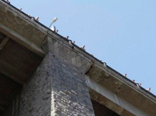 Կիեւյան կամրջի մոտ 22-ամյա քաղաքացու ինքնասպանության փորձը կանխվել է
