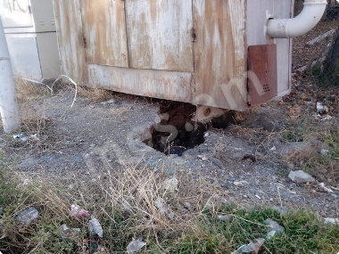 Փլուզման վտանգ Ծերենցի փողոցում