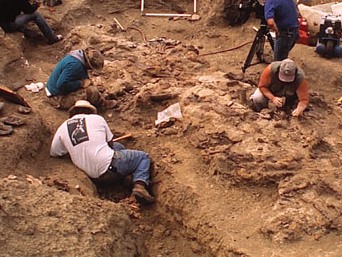 Armenian soldier’s remains found during excavations in Ukraine