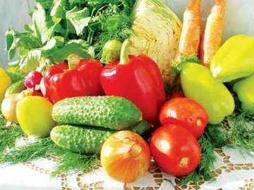 FAO-ն Հայաստանին կտրամադրի 459 հազար դոլար՝ բանջարաբուծությունը զարգացնելու