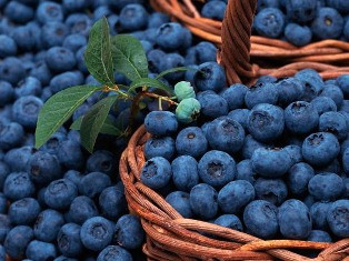 Ամենաօգտակարը համարվել է հապալասի հյութը
