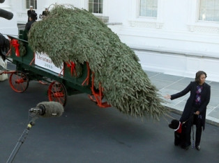 Michelle Obama welcomes White House Christmas Tree