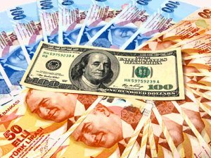 Թուրքական արժույթը դոլարի համեմատ ռեկորդային անկում է ապրել