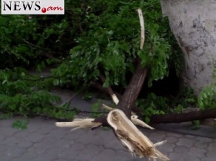 No Comment. Ուժեղ քամու հետեւանքները Երեւանում