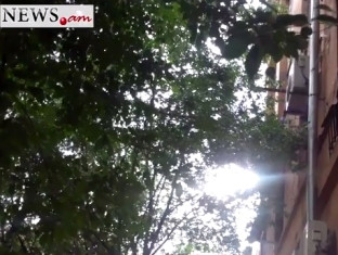 Ծառի ճյուղերը մտնում են տիկին Սուսաննայի տուն. քաղաքապետարանը հրաժարվում է կտրել