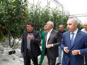 Կոտայքի մարզում մշակովի ցանքատարածություններն ավելացել են 500 հեկտարով