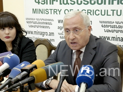 Նախարար. Հերիք է կապիկների մասին. լուրջ հարցեր տվեք