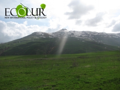 Սկանդալ Ամուլսարի ծրագրի հասարակական լսումների ժամանակ. ԷկոԼուր