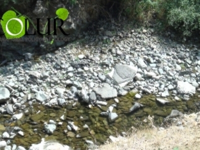 «Կապան-Էներժի» ՓԲԸ-ն հերքում է, որ ՓՀԷԿ-երն են Ողջի գետի չորացման պատճառը