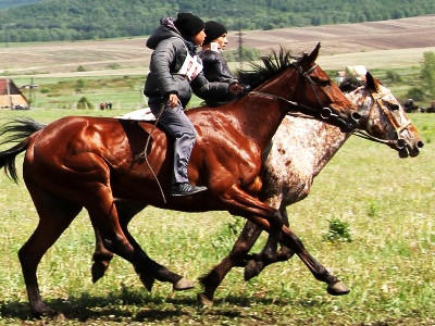 Казахстанский школьник получил $55 тысяч за победу на конных скачках