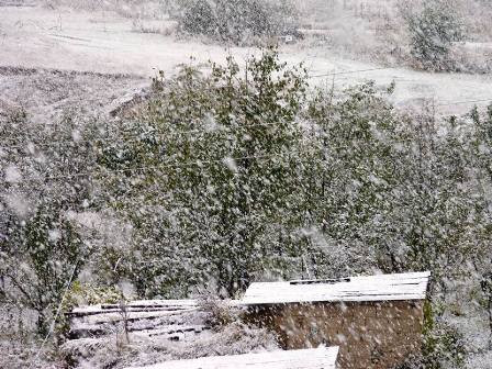 Եղեգնաձորում, Վայքում, Սիսիանում, Գորիսում և Ապարանում ձյուն է տեղում