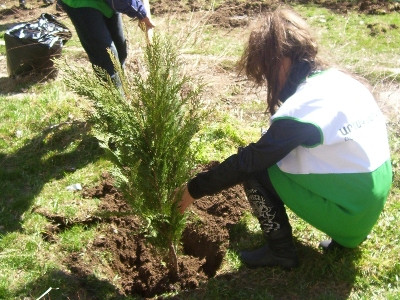 Ցեղասպանության զոհերի հիշատակի հուշակոթողների հարակից տարածքները բարեկարգվել են